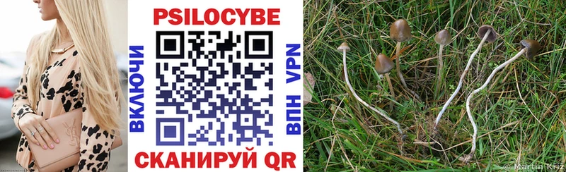 Купить где  Балашов  Псилоцибиновые грибы ЛСД 